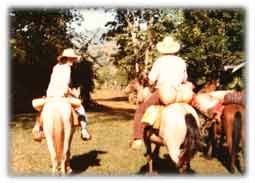 ::Pictures to use:horses.jpg