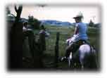 ::Pictures to use:horseCarlota.jpg